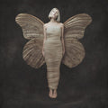 AURORA - All My Demons Greeting Me As A Friend (180 Gram Vinyl)