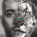 ZAYN - KONNAKOL (X) (SWIMMING THROUGH SEAS VINYL)