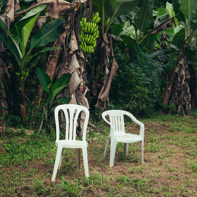 BAD BUNNY - DEBÍ TIRAR MÁS FOTOS (Colored Vinyl, White, Gatefold LP Jacket)