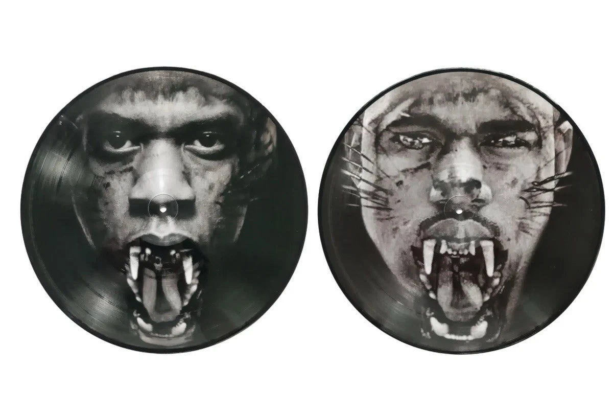 JAY-Z; KANYE WEST / WATCH THE THRONE (2 PICTURE DISCS)